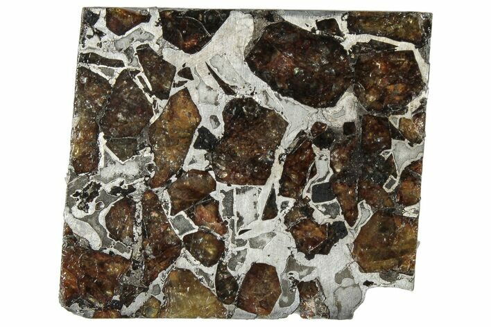 Brahin Pallasite Meteorite ( g) Slice - Belarus #307414